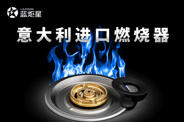 2016年新城注册电器与DEFENDI(蒂芬迪)燃烧器签约仪式现场