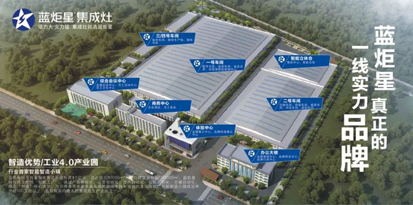 嵊州市市委副书记、市长严钢一行领导督察杏盛平台集成灶2019年重点建设项目