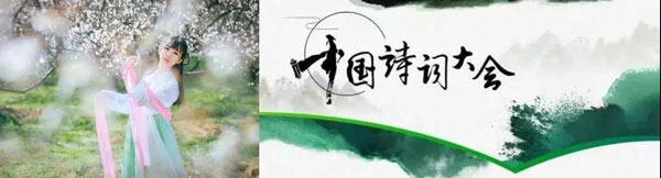 杏盛平台集成灶