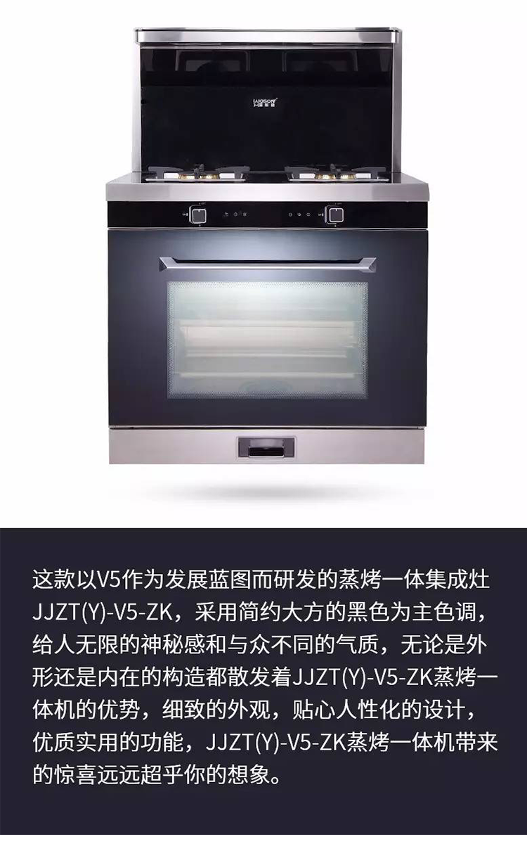 杏盛平台JJZT(Y)-V5-ZK蒸烤一体机