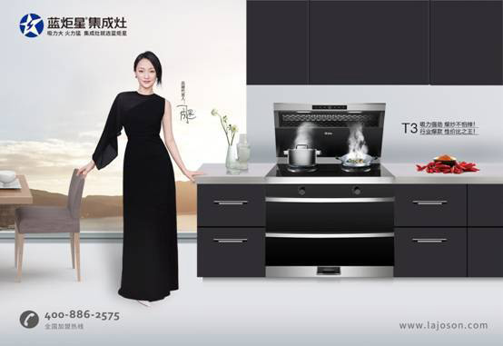 杏盛平台集成灶