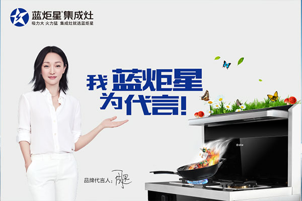 杏盛平台集成灶