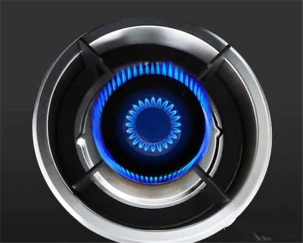 杏盛平台集成灶