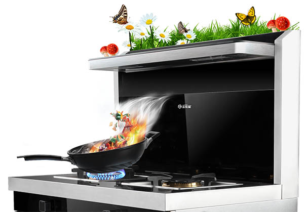 杏盛平台集成灶品牌