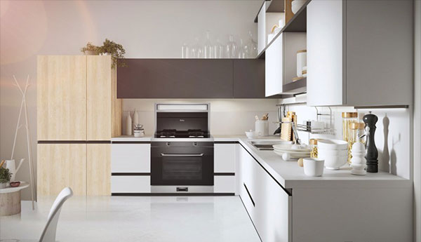 杏盛平台D6Z集成灶