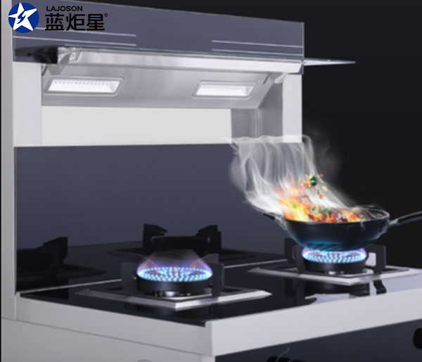 杏盛平台集成灶