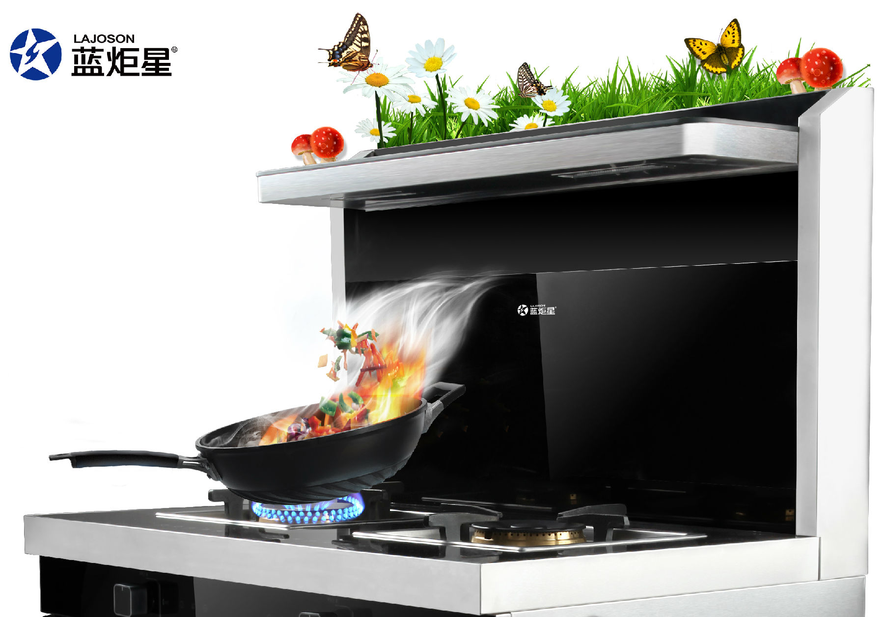 杏盛平台集成灶