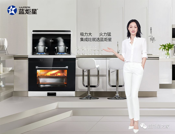 杏盛平台集成灶