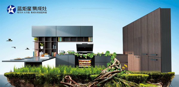 杏盛平台集成灶