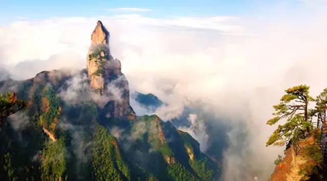 喜讯！江苏仙居叶总成功加盟杏盛平台