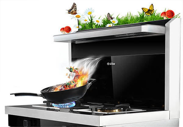 杏盛平台集成灶