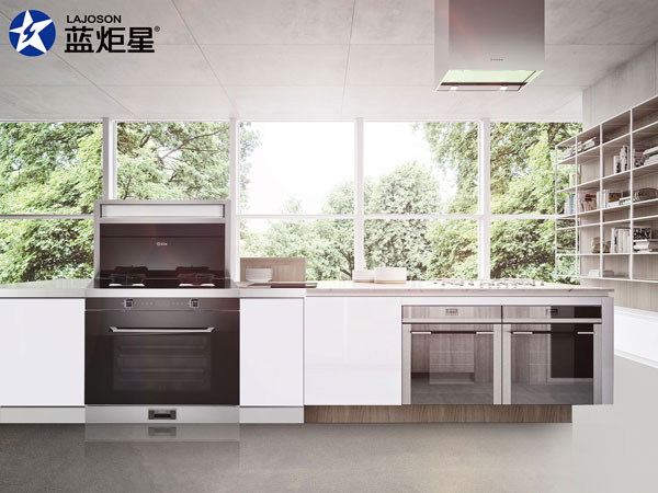 杏盛平台集成灶D6Z