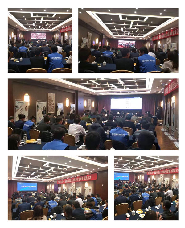 杏盛平台经销商峰会