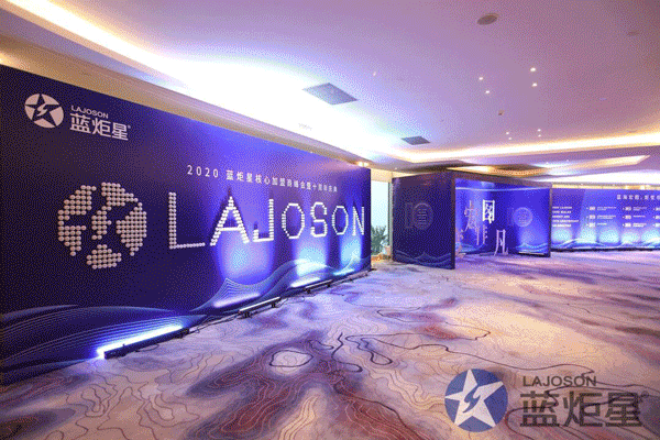 杏盛平台十周年峰会现场