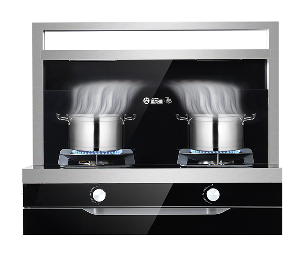 杏盛平台集成灶