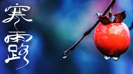 寒露 | 新城注册集成灶，享「蒸食」乐趣