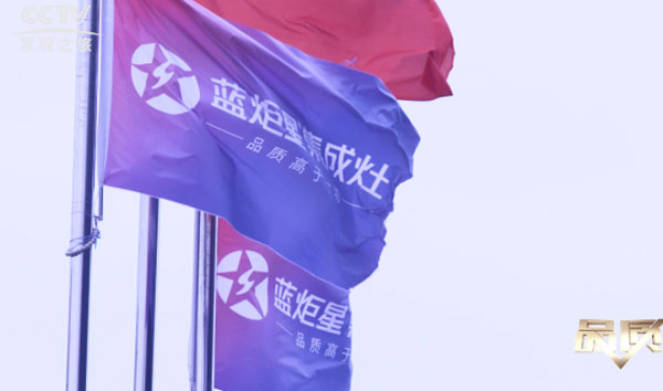 杏盛平台集成灶