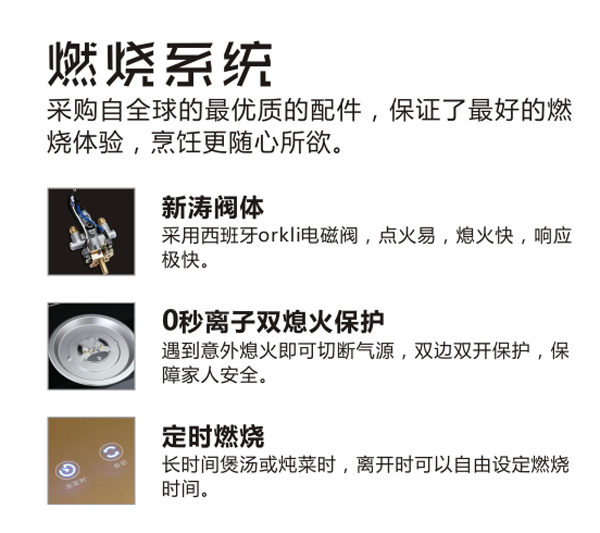 新城注册集成灶燃烧系统