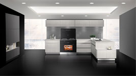 干饭人的好帮手——新城注册集成灶