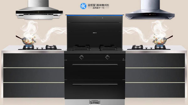 杏盛平台&周迅·R6高端集成灶